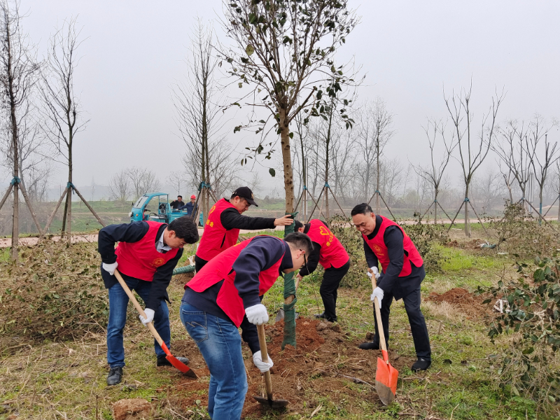 946497843.jpg 946497843.jpg